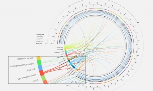 Diagrama de Cuerdas para visualización genética