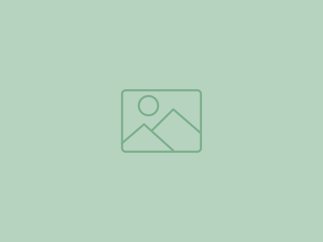 Imagen decorativa
